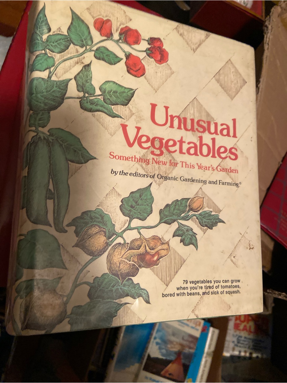 Vintage 70s Unusual Vegetables Illustrated hardcover Book garden gardening 1970s